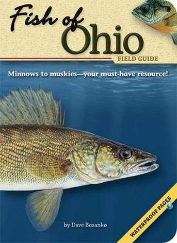 Cover image for Fish of Ohio Field Guide