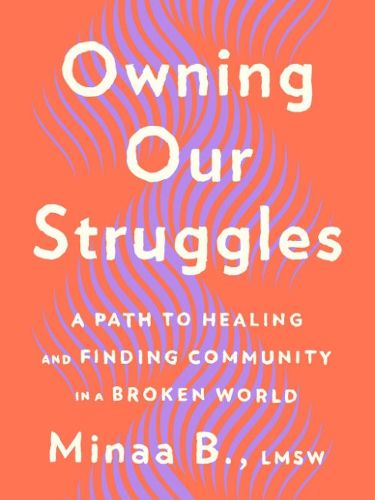 Cover image for Owning Our Struggles