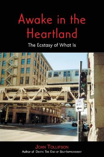 Cover image for Awake in the Heartland: The Ecstasy of What Is