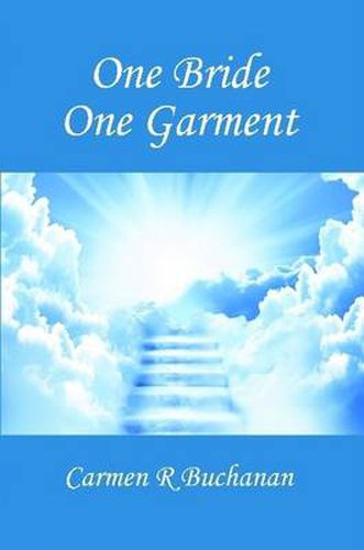 Cover image for One Bride One Garment