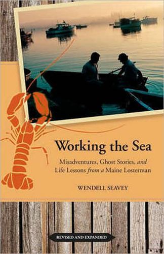 Cover image for Working the Sea: Misadventures, Ghost Stories, and Life Lessons from a Maine Lobsterman