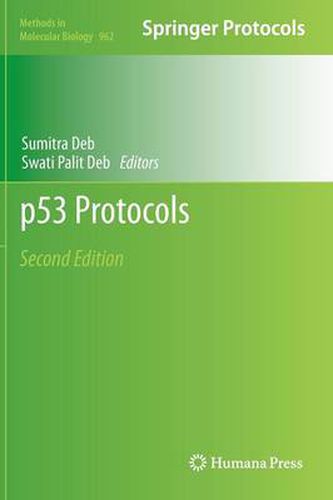 Cover image for p53 Protocols