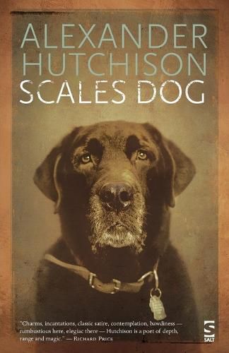 Cover image for Scales Dog: New and Selected Poems