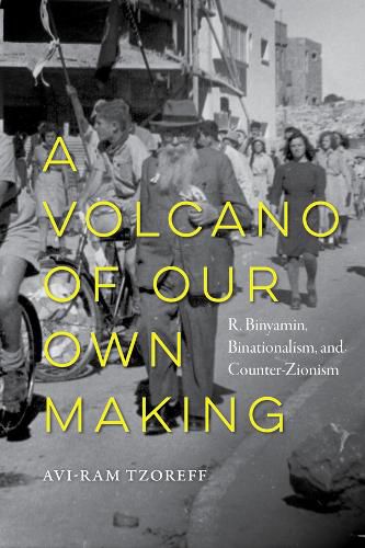 Cover image for A Volcano of Our Own Making
