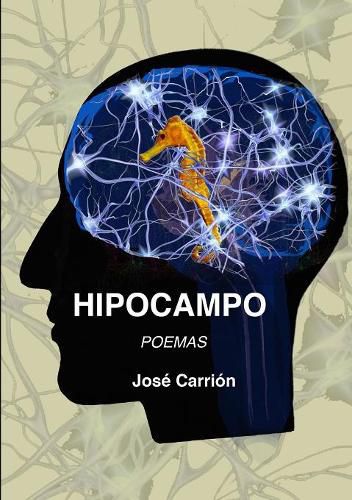 Cover image for Hipocampo