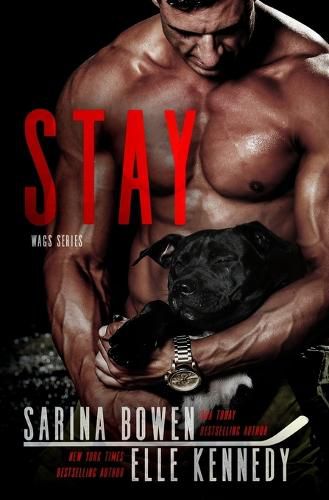 Cover image for Stay