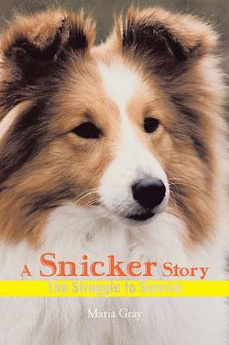 Cover image for A Snicker Story: The Struggle to Survive