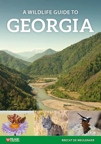 Cover image for A Wildlife Guide to Georgia