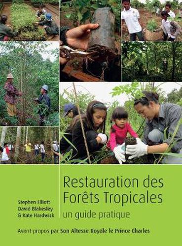 Cover image for Restauration des forets tropicales: Un guide pratique