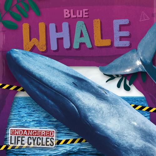 Cover image for Blue Whale