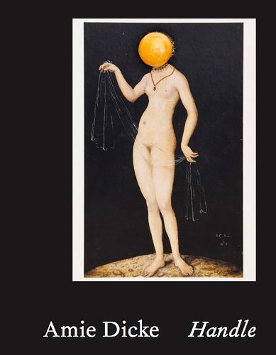 Cover image for Amie Dicke