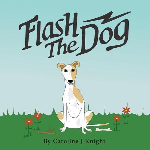 Cover image for Flash the Dog