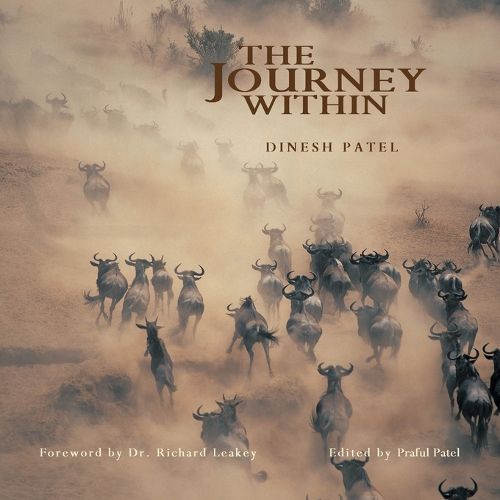 Cover image for The Journey Within