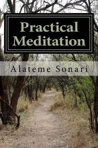 Cover image for Practical Meditation: A Way of Life for the Individual and the Family