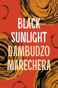 Cover image for Black Sunlight