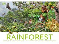 Cover image for Rainforest