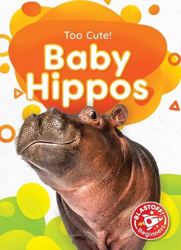 Cover image for Baby Hippos