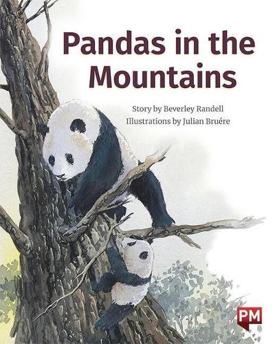 Pandas in the Mountains