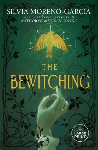 Cover image for The Bewitching