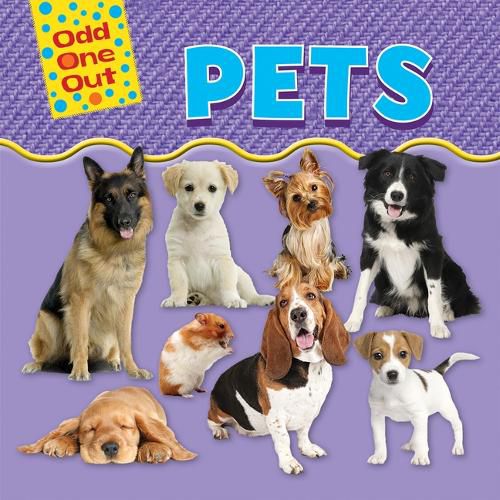 Cover image for Pets
