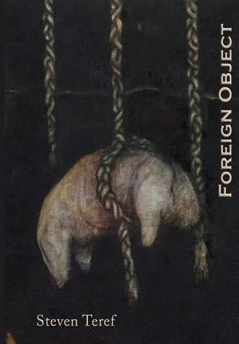 Cover image for Foreign Object