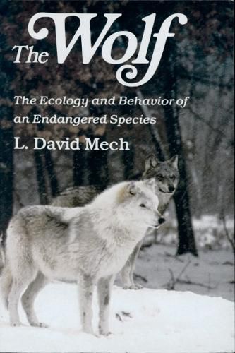 Cover image for Wolf: The Ecology and Behavior of an Endangered Species