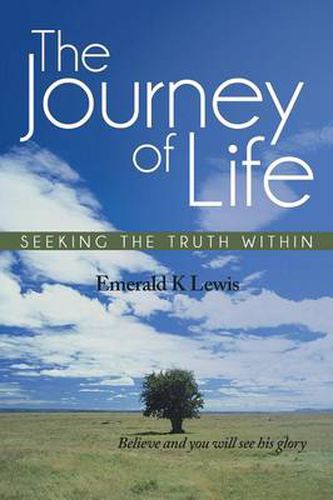 Cover image for The Journey of Life: Seeking the Truth Within