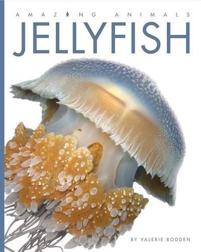 Cover image for Jellyfish
