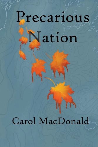 Cover image for Precarious Nation