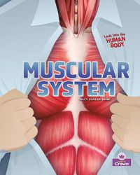 Cover image for Muscular System