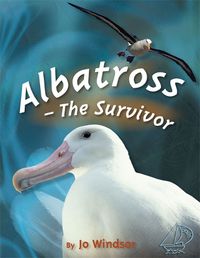 Cover image for MainSails 1: Albatross - The Survivor