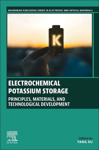 Cover image for Electrochemical Potassium Storage