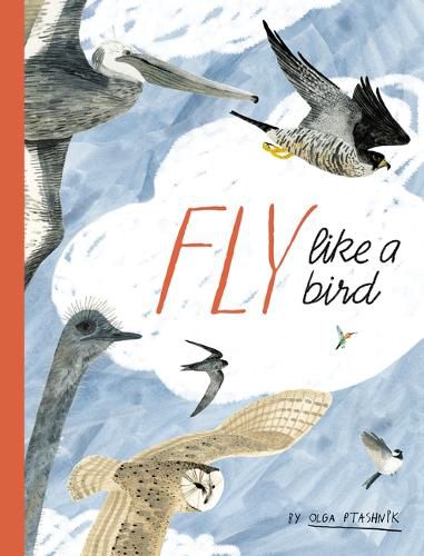 Cover image for Fly Like a Bird