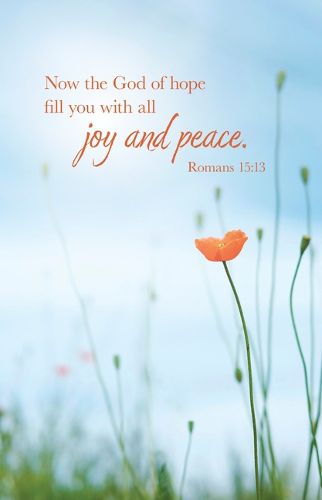 Cover image for General Worship Bulletin: All Joy (Package of 100)