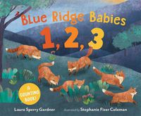 Cover image for Blue Ridge Babies 1, 2, 3: A Counting Book