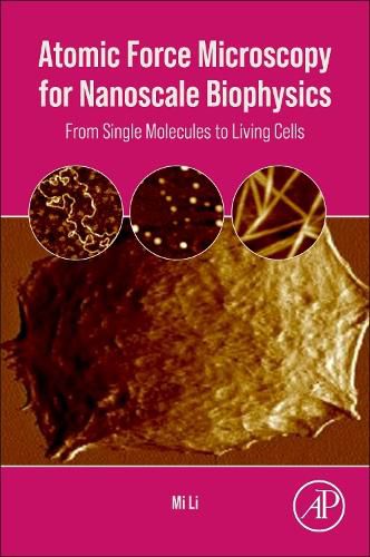 Cover image for Atomic Force Microscopy for Nanoscale Biophysics: From Single Molecules to Living Cells