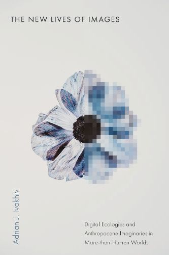 Cover image for The New Lives of Images