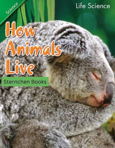 Cover image for How Animals Live