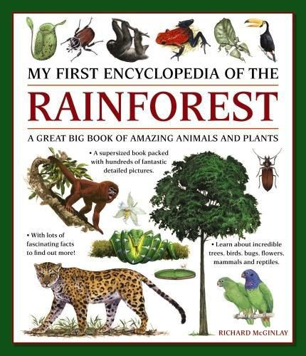 Cover image for My First Encyclopedia of the Rainforest: A Great Big Book of Amazing Animals and Plants