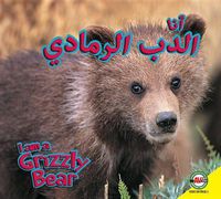 Cover image for Grizzly Bear: Arabic-English Bilingual Edition