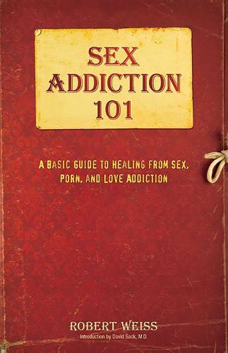 Cover image for Sex Addiction 101: A Basic Guide to Healing from Sex, Porn, and Love Addiction
