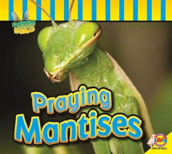 Cover image for Praying Mantises