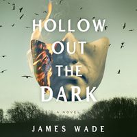 Cover image for Hollow Out the Dark