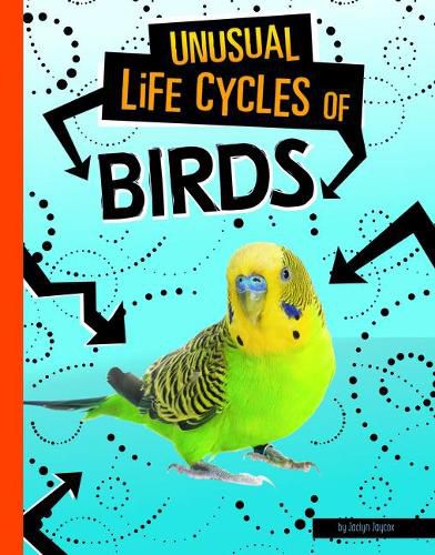 Cover image for Birds