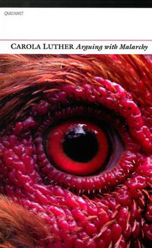 Cover image for Arguing with Malarchy