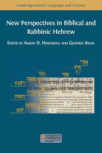 Cover image for New Perspectives in Biblical and Rabbinic Hebrew