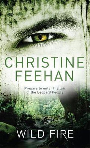 Cover image for Wild Fire: Number 4 in series