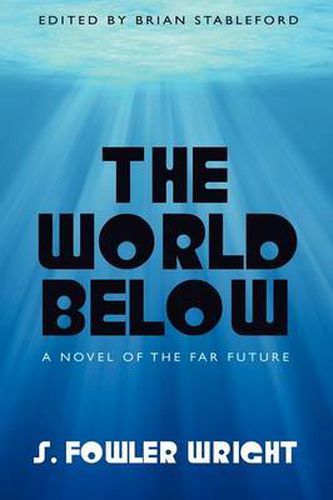 Cover image for The World Below: A Novel of the Far Future