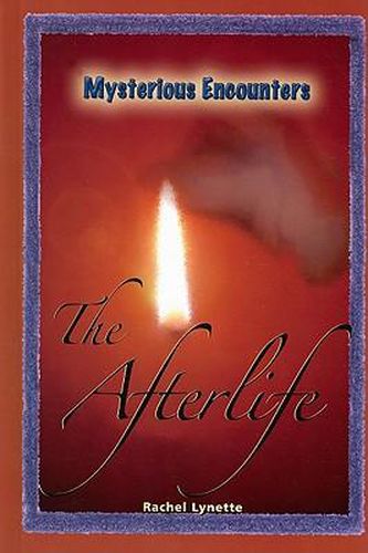 Cover image for The Afterlife