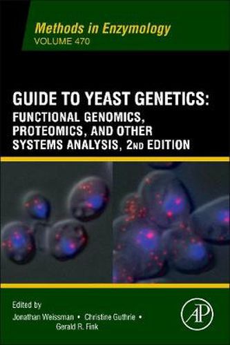 Cover image for Guide to Yeast Genetics: Functional Genomics, Proteomics and Other Systems Analysis